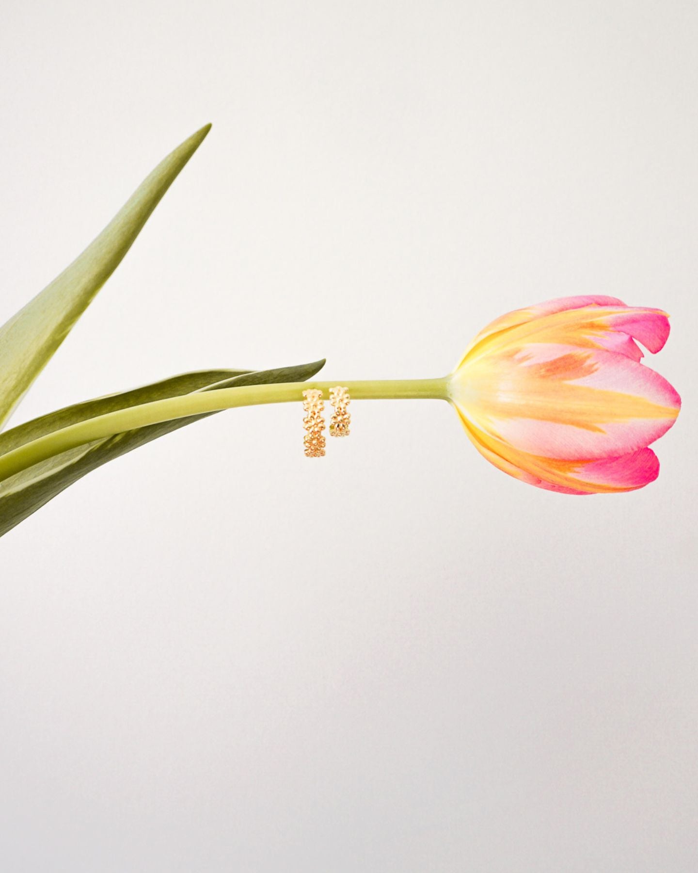 Cute A$$ Daisy Hoop Studs M Gold