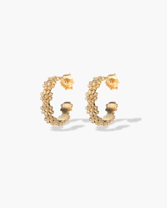 Cute A$$ Daisy Hoop Studs M Gold