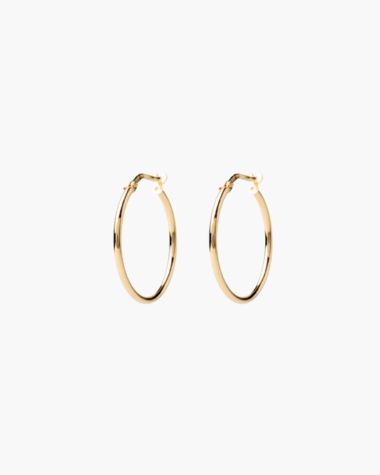 Evrydy Hoops M Gold